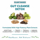 Bliss Welness Gut Detox Tablets - Swadesiicart
