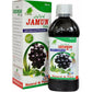 Cura Jamun Ras