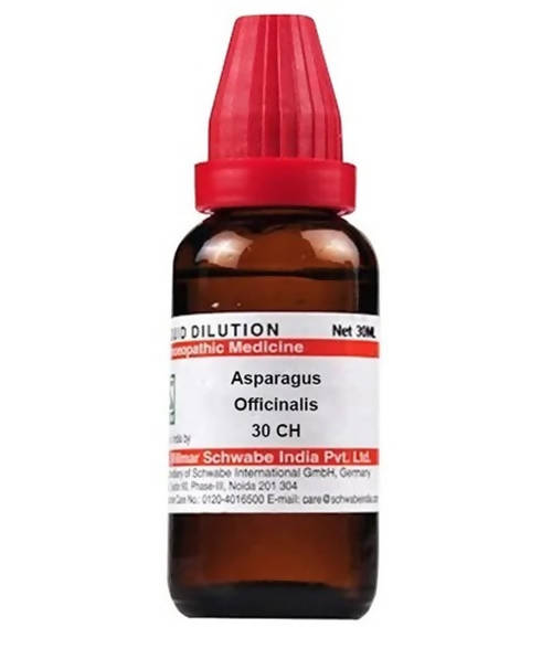 Dr. Willmar Schwabe India Asparagus Officinalis Dilution | Swadesiicart