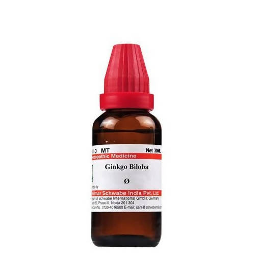 Dr. Willmar Schwabe India Ginkgo Biloba Mother Tincture Q | Swadesiicart