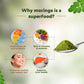 Krishna'S Herbal & Ayurveda Moringa Powder