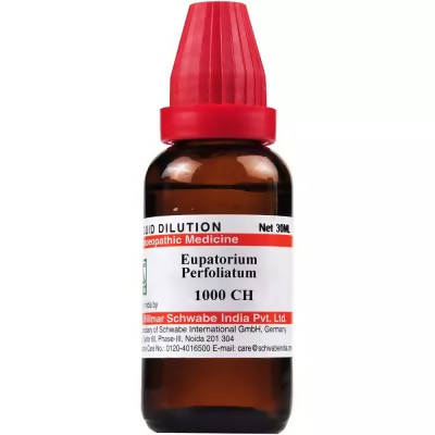 Dr. Willmar Schwabe India Eupatorium Perfoliatum Dilution - Swadesiicart