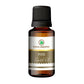 Korus Essential Pine Essential Oil - Therapeutic Grade - Just Jaivik