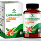 Trivang Ashwagandha Capsules | Swadesiicart