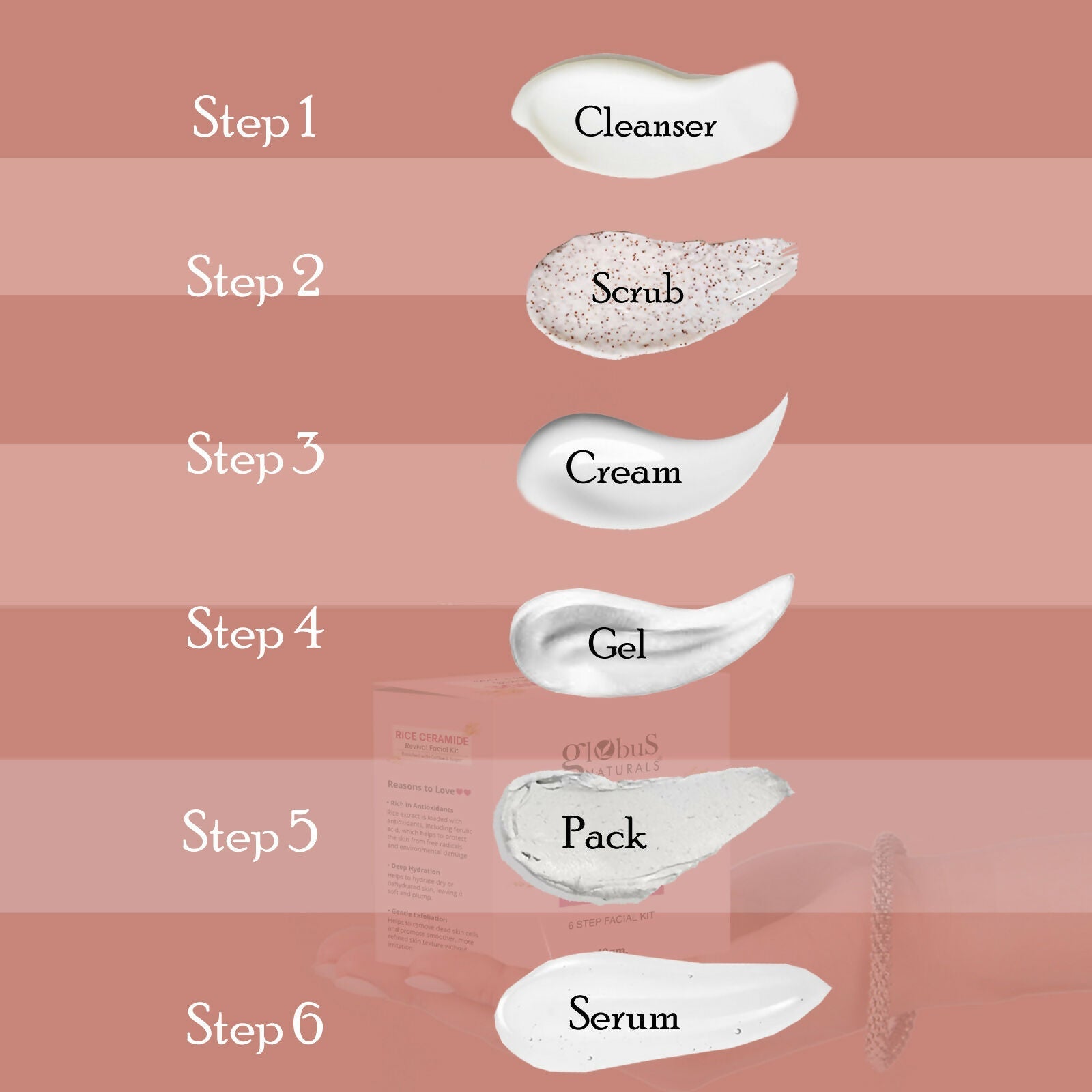 Globus Naturals Rice Ceramide 6 Step Facial Kit For Korean Glass Skin | Swadesiicart