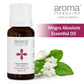 Aroma Treasures Mogra Absolute Pure Essential Oil