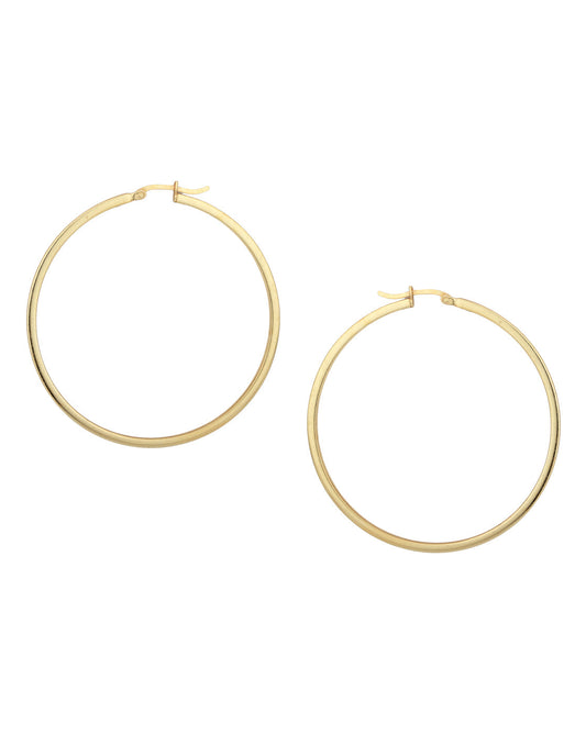 Gold-Polished Oval Shape Hoop Earrings For Women - Wahe Jewels - Swadesiicart