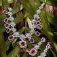 Saraf RS Jewellery Rhodium-Plated Pink AD studded Jewellery Set - Swadesiicart