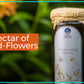 Indic Organics Small Stingless Bee Raw Honey from Western Ghats - Swadesiicart