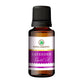 Korus Essential Lavender Essential Oil - Therapeutic Grade - Just Jaivik
