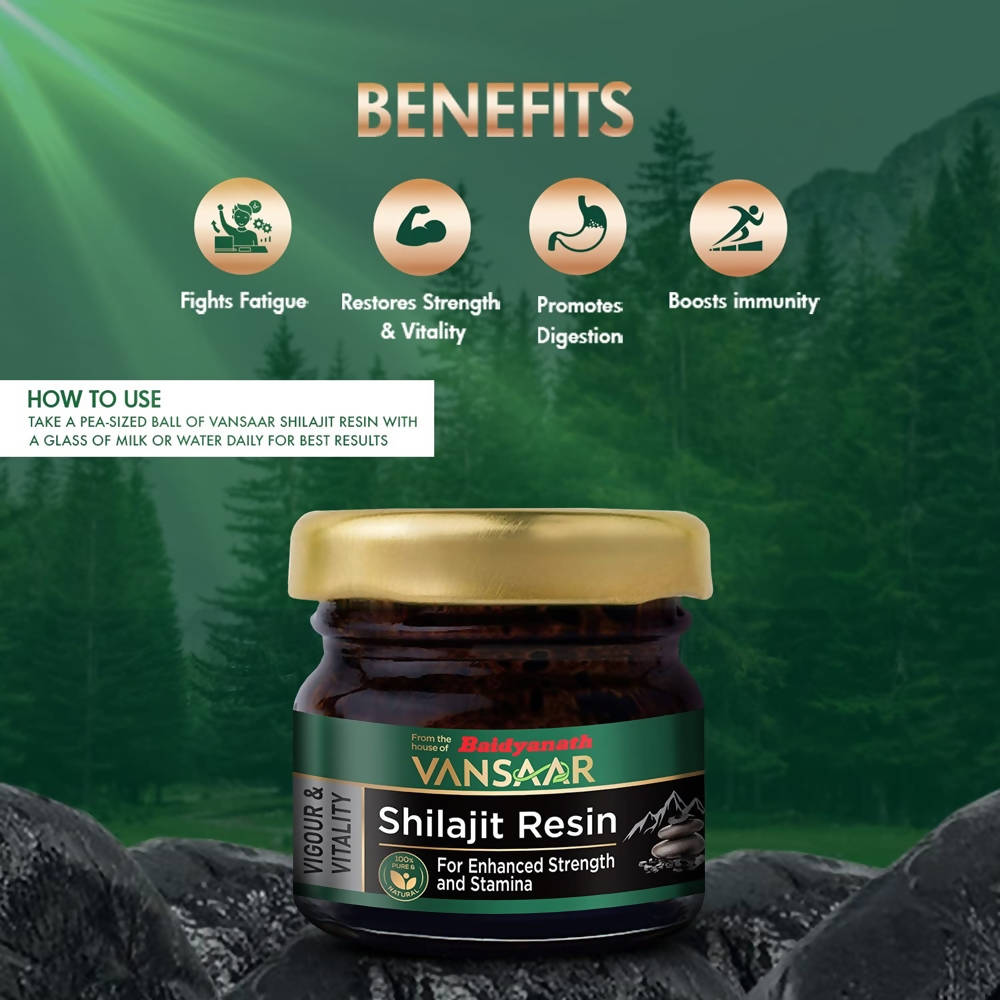 Baidyanath Vansaar Sj Resin | Swadesiicart