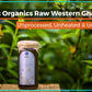 Indic Organics Small Stingless Bee Raw Honey from Western Ghats - Swadesiicart