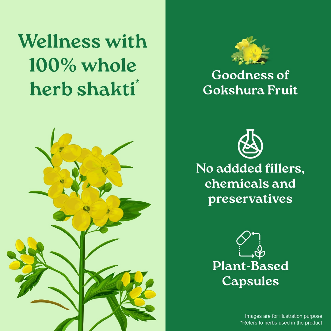Organic India Gokshura Capsules | Swadesiicart