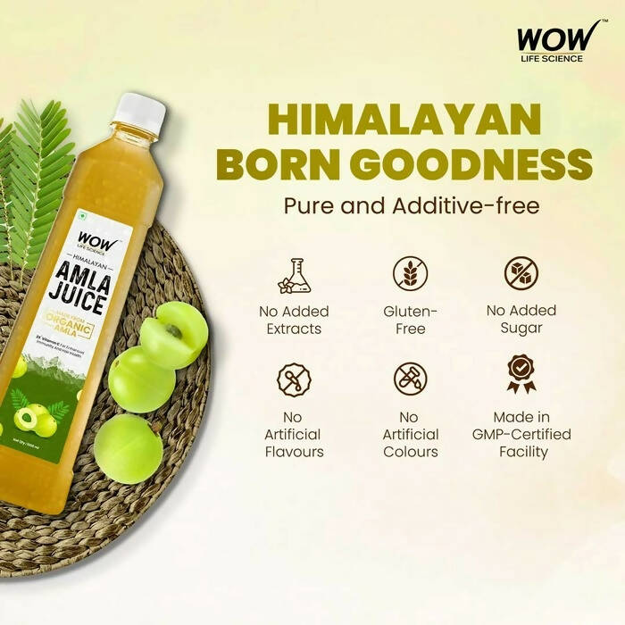 Wow Life Science Himalayan Amla Juice | Swadesiicart