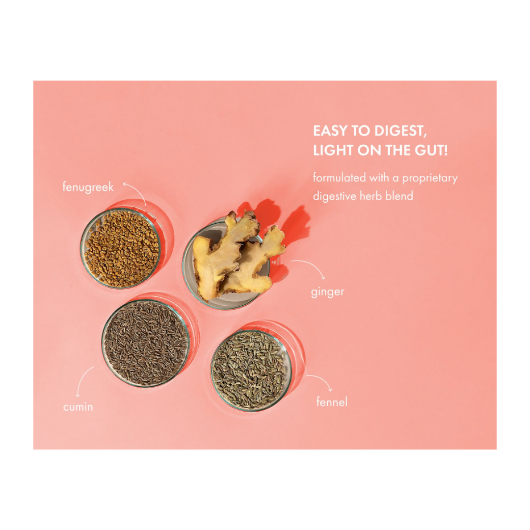 Cosmix No Nonsense Plant Protein Chilli Guava | Swadesiicart