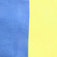 Ahalyaa Women's Traditional Semi Stitch Saree - Blue | Swadesiicart