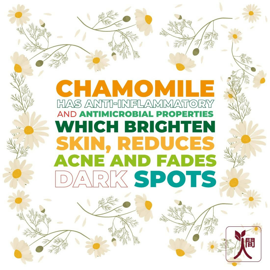 Ningen Chamomile Hair Serum - Swadesiicart