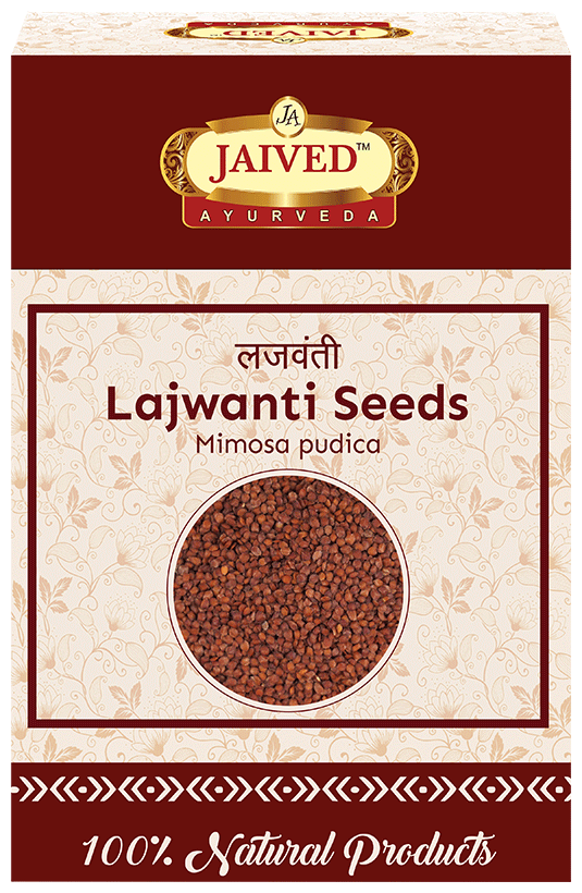 Jaived Ayurveda Sensitive Plant Lajwanti Seeds | Swadesiicart