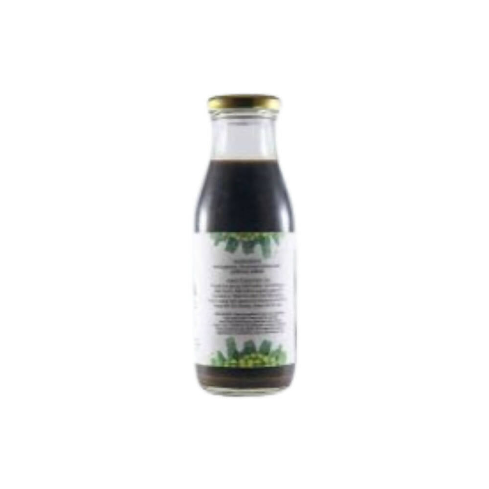 Native Circle Amla Syrup | Swadesiicart