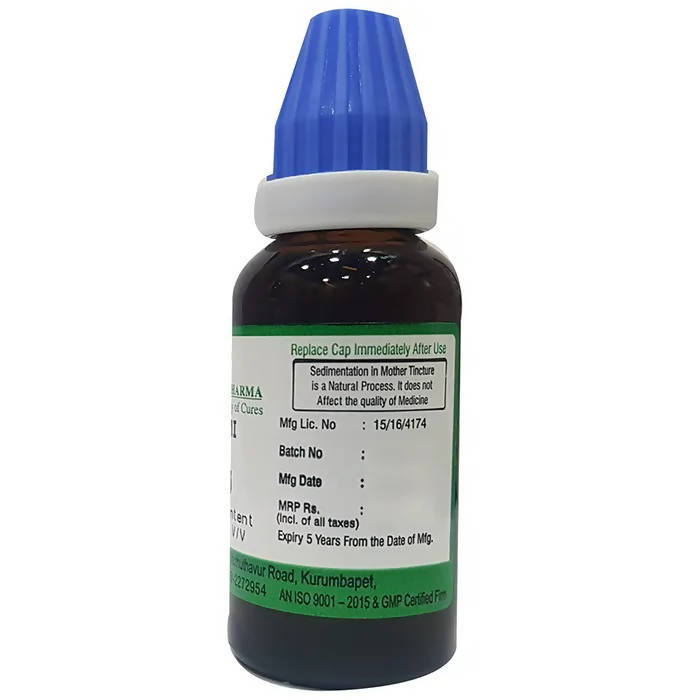 Hering Pharma Brahmi Mother Tincture Q | Swadesiicart
