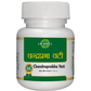 SDH Naturals CP Vati | Swadesiicart