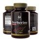 Sushrut Ayurved Good Health Berberine Veg Capsules - Swadesiicart