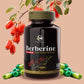 Sushrut Ayurved Good Health Berberine Veg Capsules - Swadesiicart