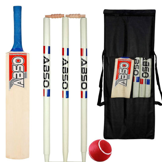 ABSO Wooden Cricket kit ?(Size 4)