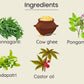 Mahadhyuta Herbals Kajal