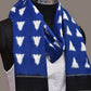 Blue and Black Pochampally Ikat Cotton Handloom Dupatta with Triangle Design - Global Threads | Swadesiicart