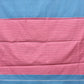 Blue and Pink Bamboo Cotton Saree with Strips Design No Blouse - Global Threads | Swadesiicart
