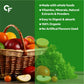 Carbamide Forte Plant Based Multivitamin+ Tablets - Swadesiicart