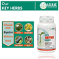 Iafa Ayuveda Iafa Ayuveda Detox  Powder | Swadesiicart