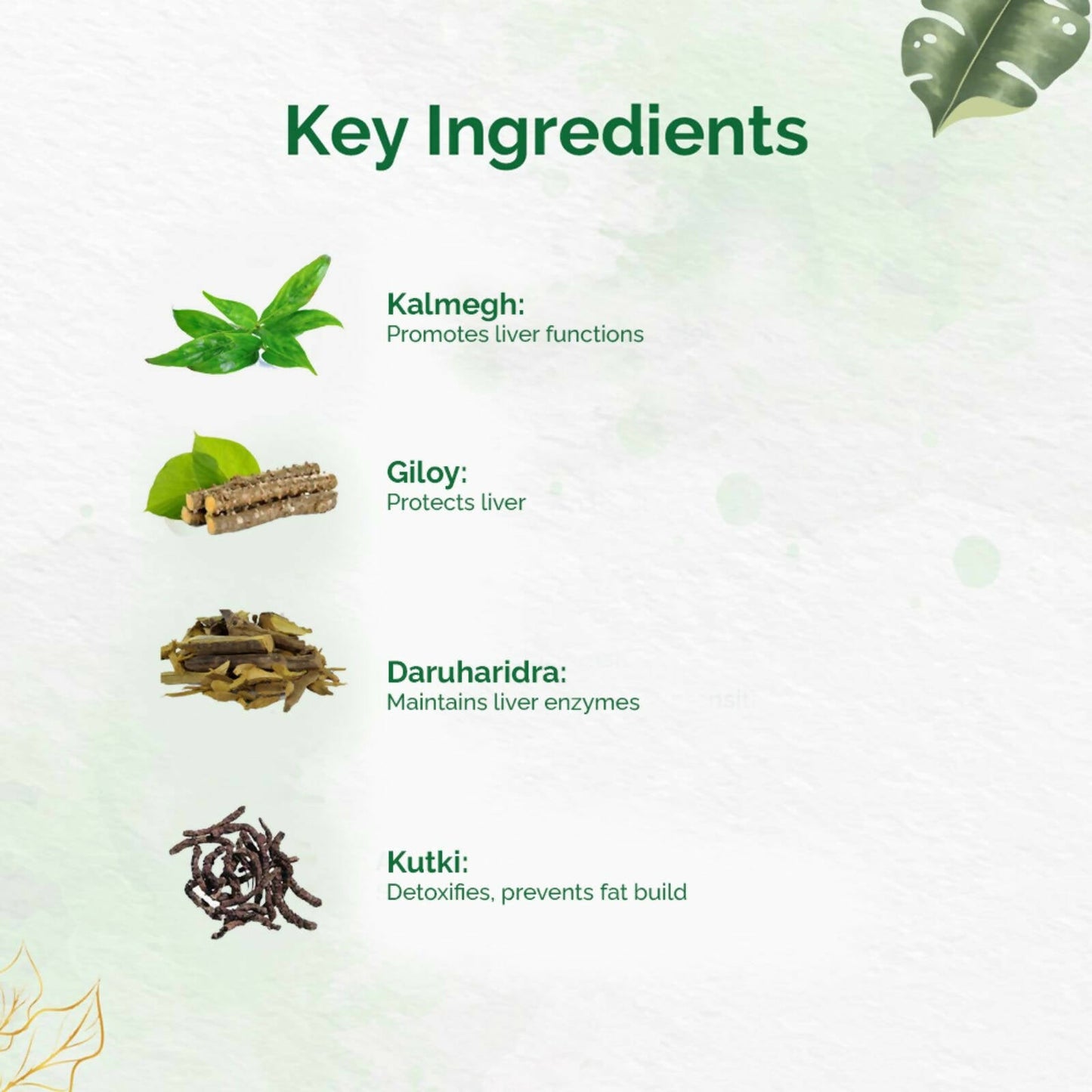 Dr. Vaidya's Liver Care Capsules | Swadesiicart