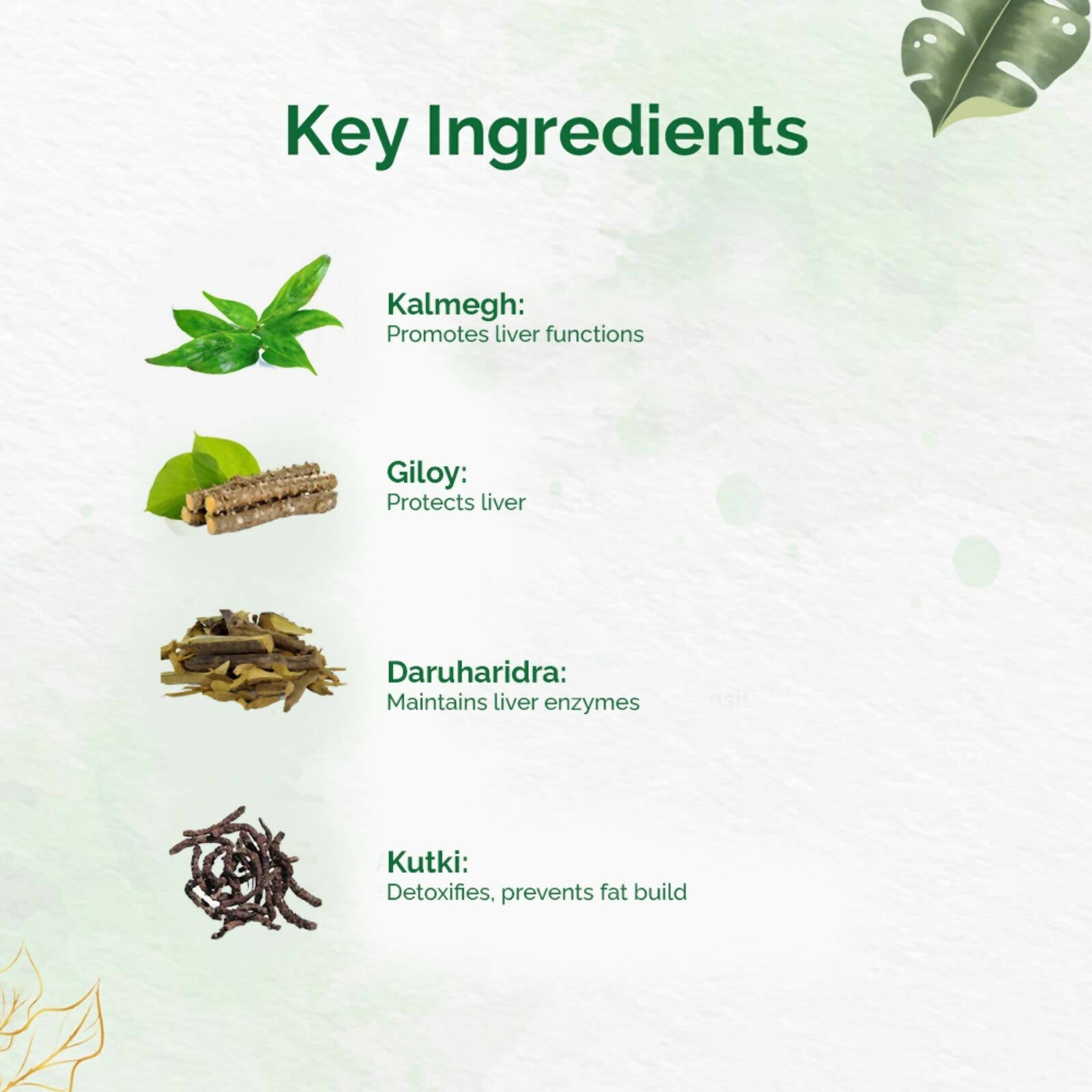 Dr. Vaidya's Liver Care Capsules | Swadesiicart