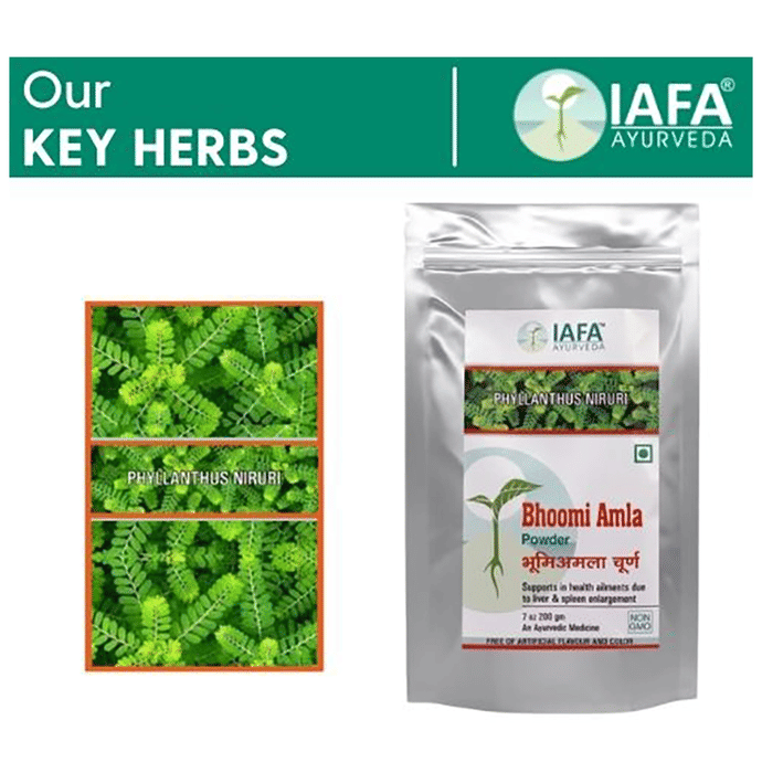 Iafa Ayuveda Bhoomi Amla Powder | Swadesiicart
