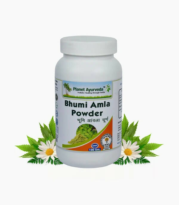Planet Ayurveda Bhumi Amla Powder - Planet Ayurveda