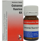 Dr. Reckeweg Calcarea Fluorica Biochemic Tablet