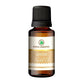 Korus Essential Ginger Essential Oil - Therapeutic Grade - Just Jaivik