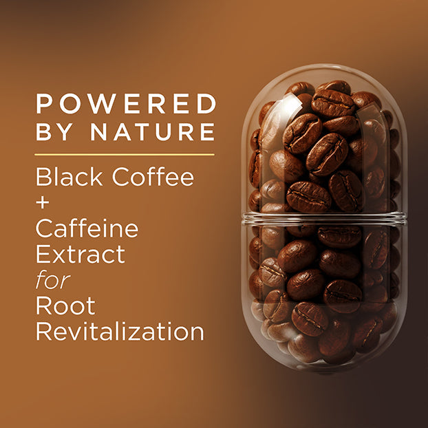 Khadi Natural Powered Botanics Black Coffee Shampoo for Strong & Healthy Hair - 310ml