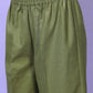Vishudh Women Green Panelled Kurta with Trousers & With Dupatta - Swadesiicart