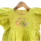 ArthLife Neon Beautiful Embroidered Dress