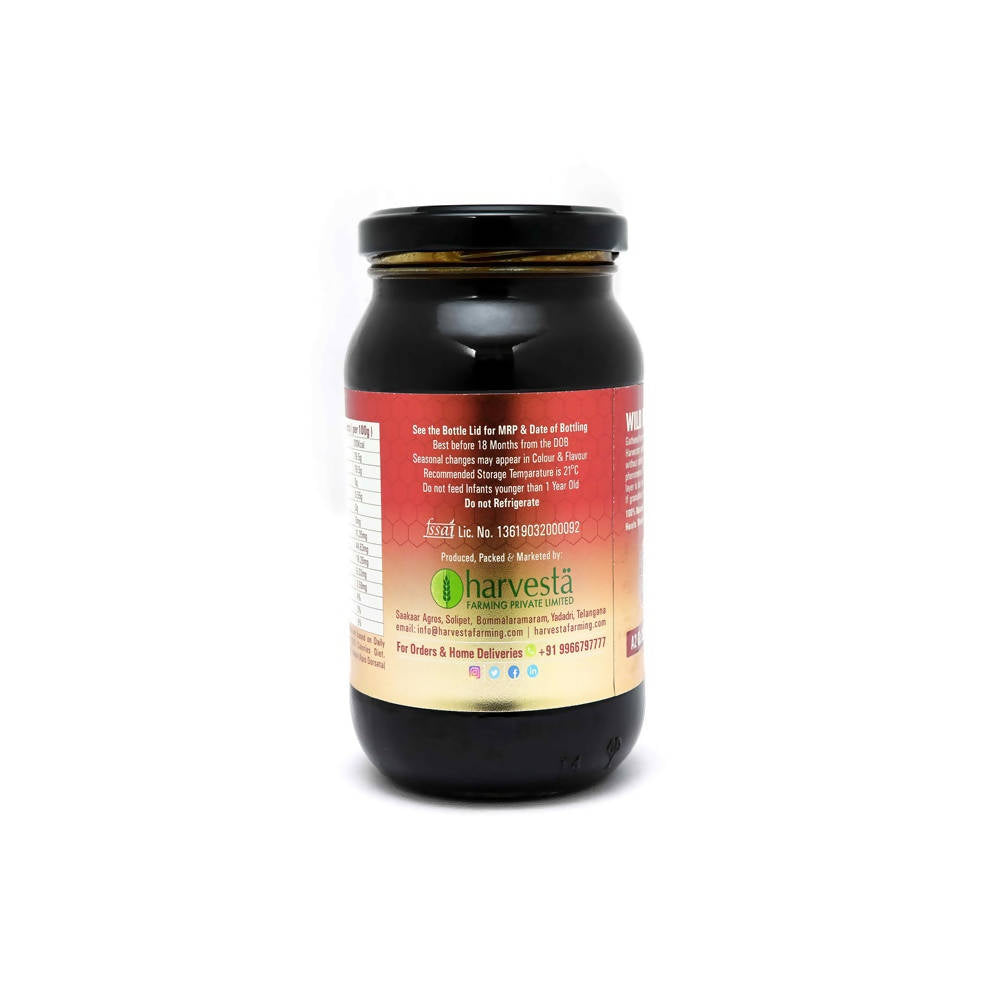 Nature's Trunk Wild Honey (Multi-Floral) - Swadesiicart