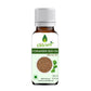 Oilcure Coriander Seed Oil Cold Pressed - Oilcure Health & Beauty
