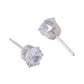NVR Women Cz Studded Studs Earrings - Swadesiicart