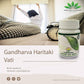 Shreeyash Ayurveda Gandharva Haritaki Vati Tablets | Swadesiicart