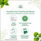 Combo Green Tea Lemon Ginger & Moringa Powder