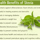 The Indian Chai - Organic Stevia Leaves Tea | Swadesiicart