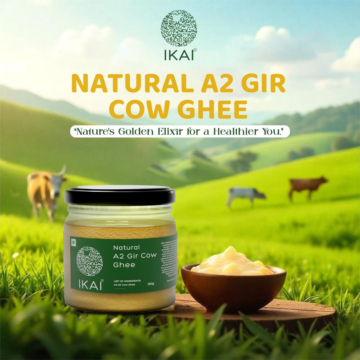 IKAI Natural A2 Gir Cow Ghee