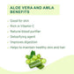 Vitro Naturals Healthy Amla Juice | Swadesiicart